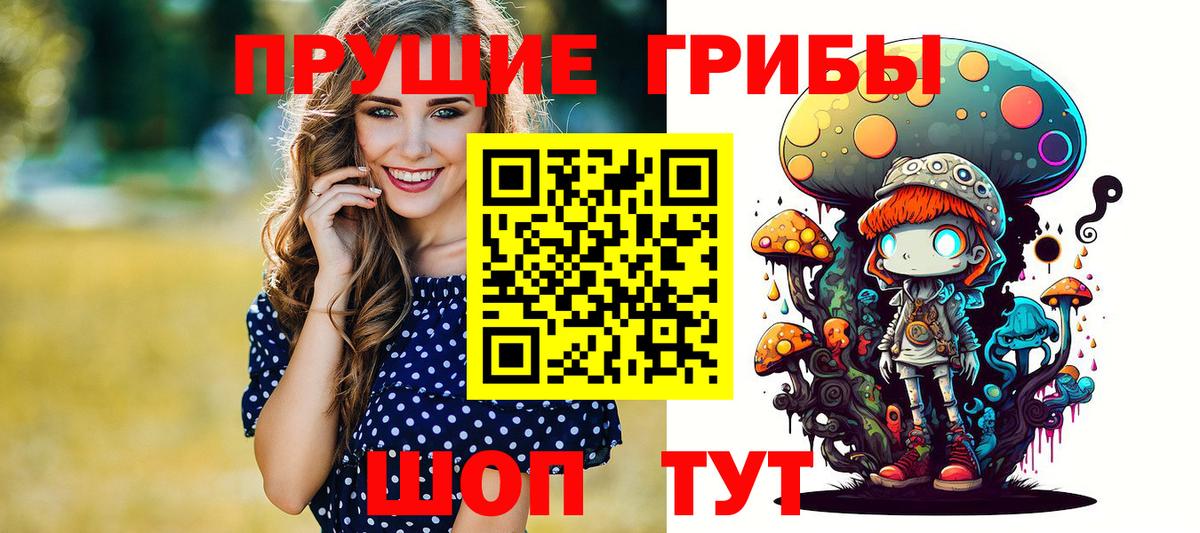 Псилоцибиновые грибы Magic Shrooms  Галлюциногенные грибы ЛСД  Вязники  закладка  Вход с VPN 